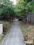 [부동산114] [아파트] 대방현대2차 205동 월세 희망가격 10,000/130만원