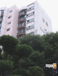 골든2동916호 | [부동산114] [아파트] 삼환 2동 전세 희망가격 33,000만원