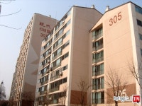 [부동산114] [아파트] 현대리버빌1지구 307동 전세 희망가격 37,000만원