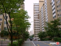 [부동산114] [아파트] 신정6차현대 101동 전세 희망가격 28,000만원