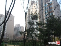 [부동산114] [아파트] 푸른마을2단지 매매 희망가격 51,000만원 [부동산114] [아파트] 푸른마을2단지  매매 희망가격 51,000만원
