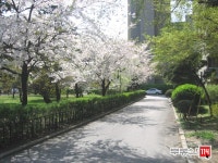 [부동산114] [아파트] 삼부 10동 매매 희망가격 310,000만원