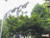 [부동산114] [아파트] 주공9단지 910동 월세 희망가격 5,000/100만원
