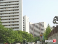[부동산114] [아파트] 주공8단지 815동 월세 희망가격 25,000/40만원