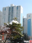 [부동산114] [아파트] 양지2단지청구 202동 매매 희망가격 250,000만원