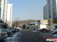 [부동산114] [아파트] 양지2단지청구 203동 매매 희망가격 180,000만원