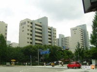 [부동산114] [아파트] 탑주공8단지 802동 전세 희망가격 25,000만원