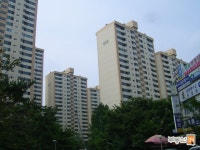 [부동산114] [아파트] 청솔대원 811동 전세 희망가격 62,000만원