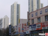 [부동산114] [아파트] 시범우성 217동 월세 희망가격 10,000/200만원