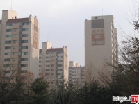 [부동산114] [아파트] 효자동아 208동 매매 희망가격 130,000만원