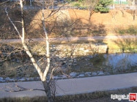 [부동산114] [아파트] 매화주공4단지 406동 전세 희망가격 24,000만원