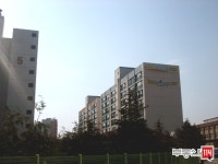 [부동산114] [아파트] 삼성2단지 9동 전세 희망가격 19,000만원