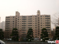 [부동산114] [아파트] 목련9단지신동아 905동 전세 희망가격 90,000만원