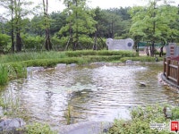 부동산 빅데이터, 부동산114