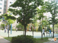 [부동산114] [아파트] 하마비마을동부센트레빌 101동 매매 희망가격 62,000만원