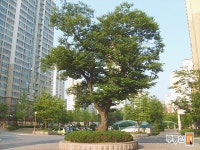 [부동산114] [아파트] 호수마을계룡리슈빌 1407동 매매 희망가격 49,000만원