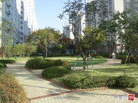 [부동산114] [아파트] 신봉자이1차 119동 매매 희망가격 70,000만원