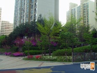 [부동산114] [아파트] 수지1삼성2차 204동 월세 희망가격 5,000/140만원