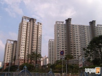 [부동산114] [아파트] 성복자이1차 111동 전세 희망가격 65,000만원