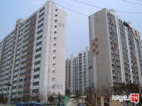 [부동산114] [아파트] 당동주공2단지 205동 전세 희망가격 16,000만원