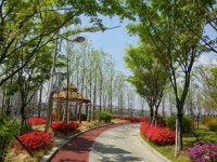 부동산 빅데이터, 부동산114