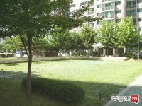 [부동산114] [아파트] 주공1단지 101동 월세 희망가격 3,000/75만원