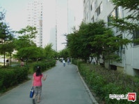 [부동산114] [아파트] 주공1단지 101동 월세 희망가격 3,000/75만원