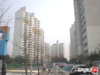 [부동산114] [아파트] 주공1단지 101동 월세 희망가격 3,000/75만원