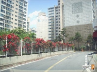 [부동산114] [아파트] 신일해피트리 101동 매매 희망가격 19,000만원