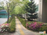 [부동산114] [아파트] 신일1차 105동 매매 희망가격 13,000만원