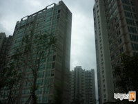 [부동산114] [아파트] 용이2차푸르지오 214동 전세 희망가격 25,000만원