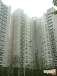 부동산 빅데이터, 부동산114 부동산 빅데이터 플랫폼 부동산114