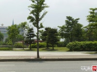 서능아파트(201동202동203동) 사진 5