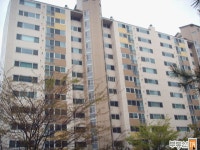 [부동산114] [아파트] 신현현대모닝사이드1-1 103동 매매 희망가격 55,000만원