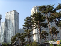 [부동산114] [아파트] 푸른마을모아미래도 941동 전세 희망가격 28,000만원