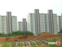 [부동산114] [아파트] 우남퍼스트빌2차 205동 월세 희망가격 5,000/120만원