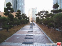 [부동산114] [아파트] 나루마을신도브래뉴 617동 전세 희망가격 55,000만원