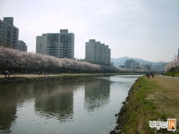 [부동산114] [아파트] 한양4차 41동 전세 희망가격 12,000만원