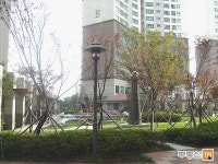 [부동산114] [아파트] 대우트럼프월드마린 A동 전세 희망가격 120,000만원