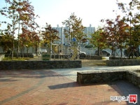 [부동산114] [아파트] 코오롱하늘채2단지 209동 매매 희망가격 125,000만원