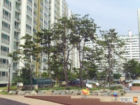 [부동산114] [아파트] 영남네오빌아트 105동 매매 희망가격 38,000만원