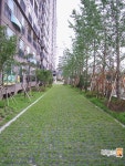 [부동산114] [아파트] 시지월드메르디앙 104동 월세 희망가격 5,000/90만원