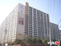 [부동산114] [아파트] 시지2차사월보성타운 106동 전세 희망가격 21,000만원