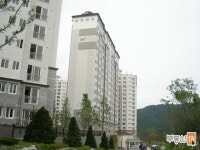 [부동산114] [아파트] 도안신도시수목토 109동 전세 희망가격 30,000만원