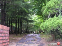 [부동산114] [아파트] 향촌 108동 전세 희망가격 18,000만원