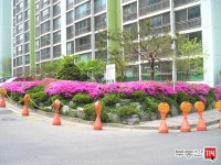 [부동산114] [아파트] 한마루삼성 9동 전세 희망가격 48,500만원