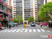 [부동산114] [아파트] 국화라이프 205동 매매 희망가격 70,000만원