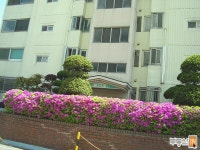 [부동산114] [아파트] 강변들금성백조 101 동 매매 희망가격 28,000만원