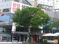 [부동산114] [오피스텔] 유성푸르지오시티 알파동 월세 희망가격 500/52만원