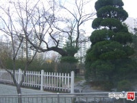 [부동산114] [아파트] 열매마을4단지계룡 404동 월세 희망가격 3,000/80만원